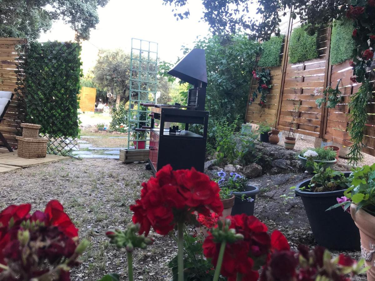 Cabana Jara Y Enebro Collado Villalba Dış mekan fotoğraf