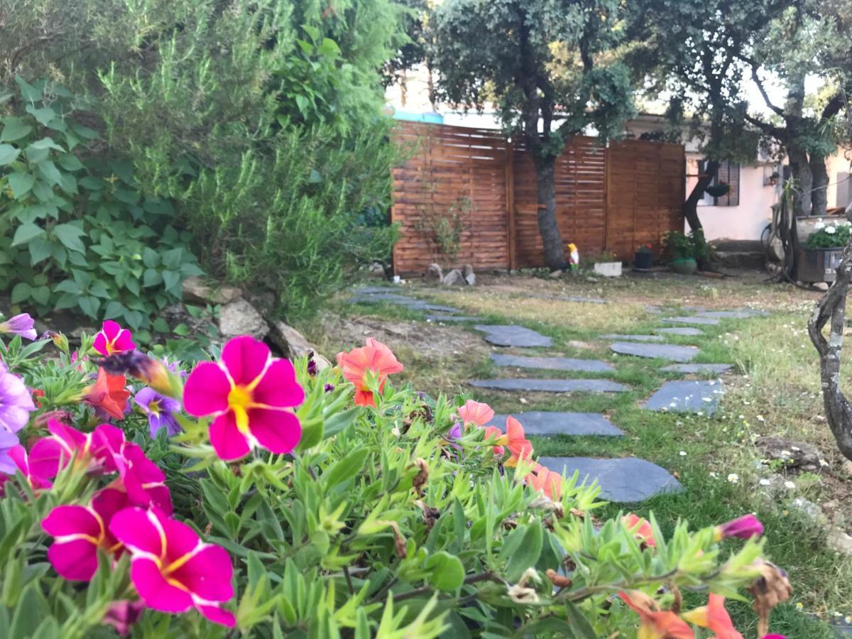 Cabana Jara Y Enebro Collado Villalba Dış mekan fotoğraf