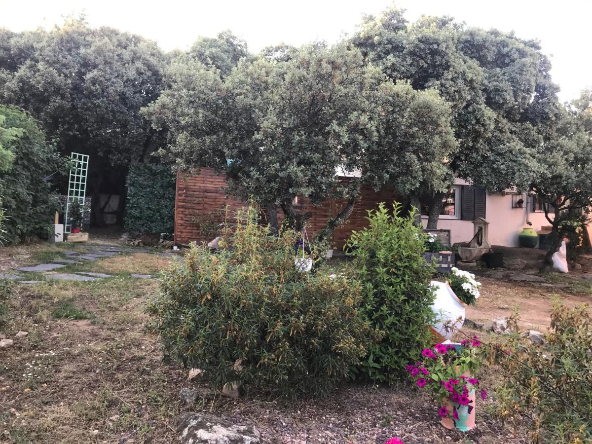 Cabana Jara Y Enebro Collado Villalba Dış mekan fotoğraf